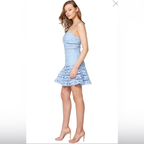 Bardot Australia AGNES LACE DRESS IN DUSTY BLUE Size 6/S $136 - Picture 3 of 9